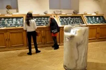 Державний геологічний музей імені В геологічний