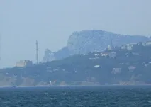 кішка