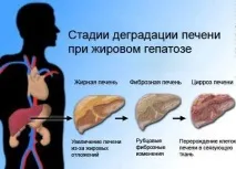 инструкции инструкции