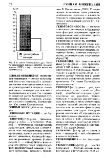 Генетичний вантаж людини