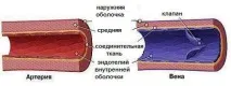 полицитемични хиповолемия