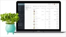 преглед insales