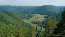 башкортостан дефиле