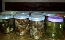 Гриби опеньки, квашені на зиму рецепти приготування грибних заготовок опеньки
