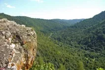 дефиле gumerovskaya