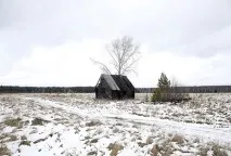 Іноземцям можуть заборонити купувати землю в Україні Політика Україна можуть