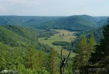 gumerovskoe Gumerovskoe дефиле