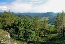 дефиле gumerovskoe