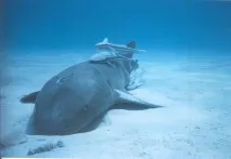 открития които