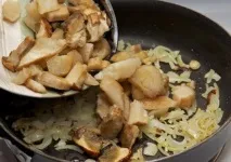грибів