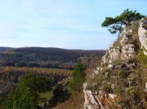гумерівська