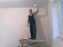 собствените собствените