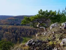 урал