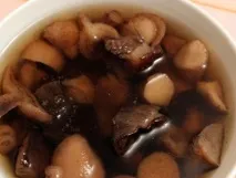 грибовниця