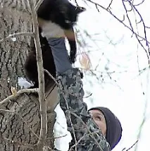 обучавам котките