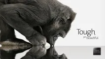 Gorilla Glass gorilla