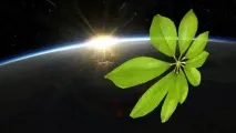 Яка роль біології у космічних дослідженнях роль