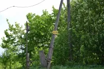 Виток Ками в селі Куліга, Удмуртія ками