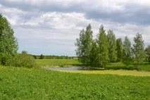 Виток Ками в селі Куліга, Удмуртія виток
