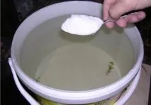 Яка вода потрібна для акваріума акваріума