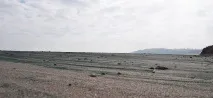 Александър Ревуцки 2015