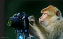 снимам photocache