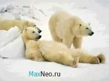 отървем отървем