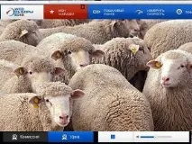 Як використовують веб-камери після виборів виборів