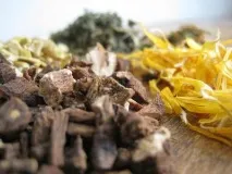 Які трави можна пити під час вагітності, а які категорично заборонені вагітності