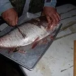 якприготувати