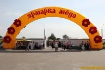 Який дохід приносить бджільництво можна