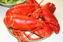 дома дома