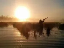 Як полювати на качку восени з підходу, на перельотах, опудала підходу