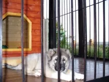 изградим собствените