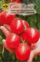 Як розібратися в сортах та термінах посіву насіння помідорів, Танина дача помідорів