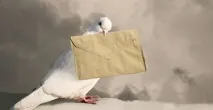 ефективна вашата