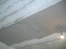 избелите избелите