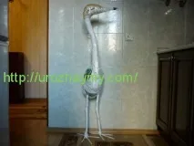 зробити