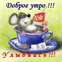 Можете дори сутрин