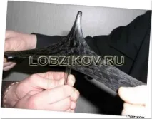 такъв покрив покрив