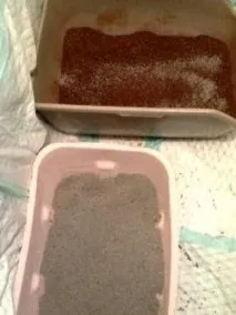 Наповнювач для котячого туалету, який з них найкращий наповнювач