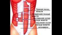 преса упражнения
