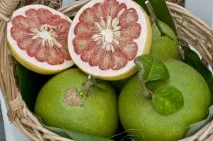 pomelo pomelo