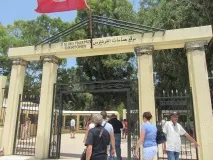 Як з Хаммамета дістатися Карфаген і Сіді-бу-Саїд хаммамета