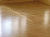 скърцането скърцането