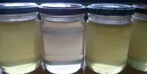 акация бяла акация