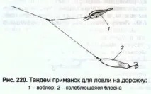 време риболов щука