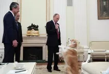 путин решение