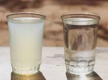 пречистим пречистим