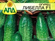 Як отримати гарний урожай огірків у відкритому ґрунті гарний